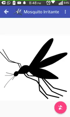 Mosquito Irritante android App screenshot 0